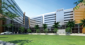 cipla calls free