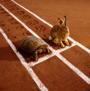 tortoise-and-hare-intraday-vs-long-term