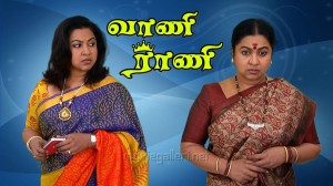 Actress Raadhika Sarathkumar in SUN TV Vani Rani Serial Photos